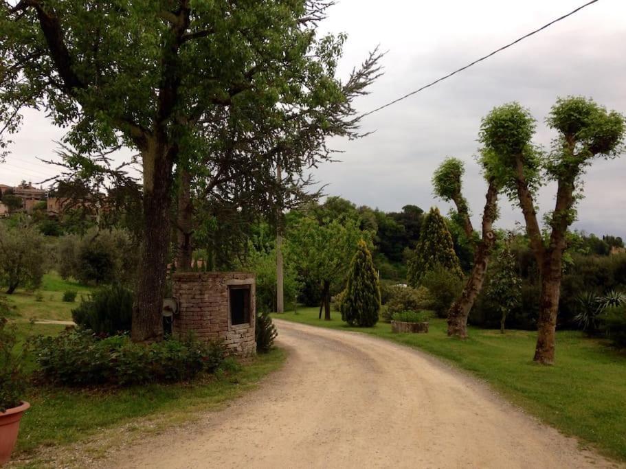 “il Nespolino” Tuscan *